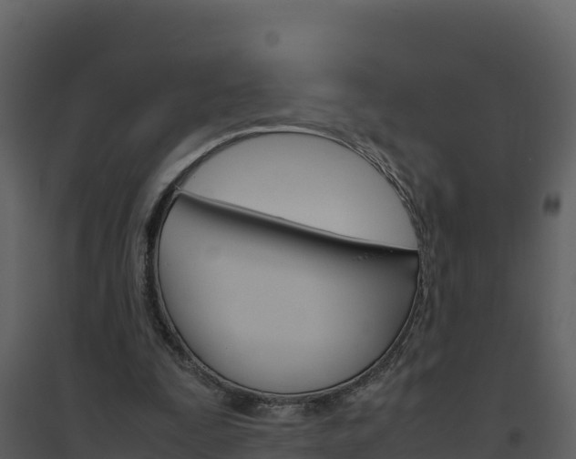X0000094800295200711160947