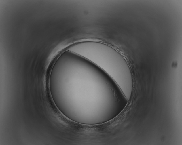 X0000094800296200711160947