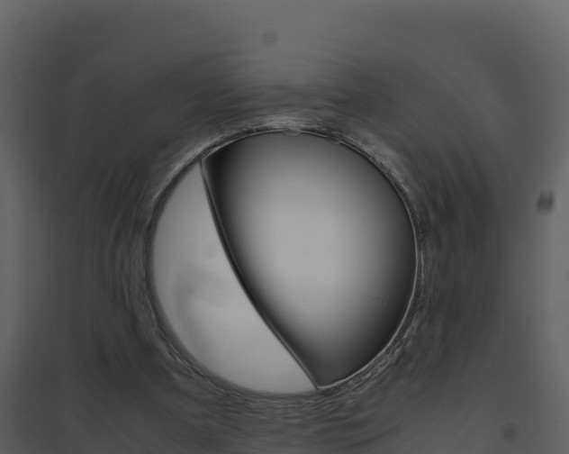 X0000094800297200711160947