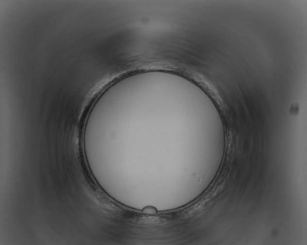 X0000094800298200711160947