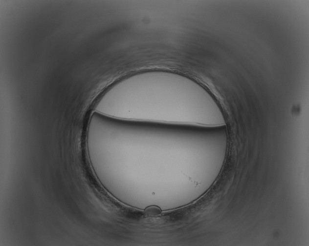 X0000094800299200711160947