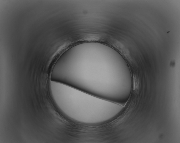 X0000094800300200711160947