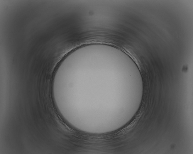 X0000094800301200711160947