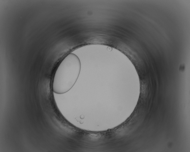 X0000094800302200711160947