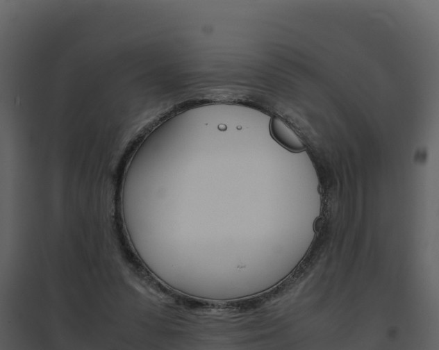X0000094800303200711160947