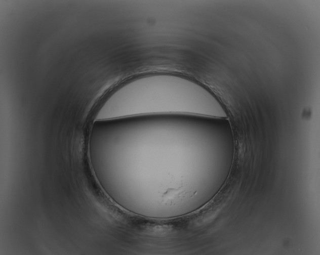 X0000094800304200711160947