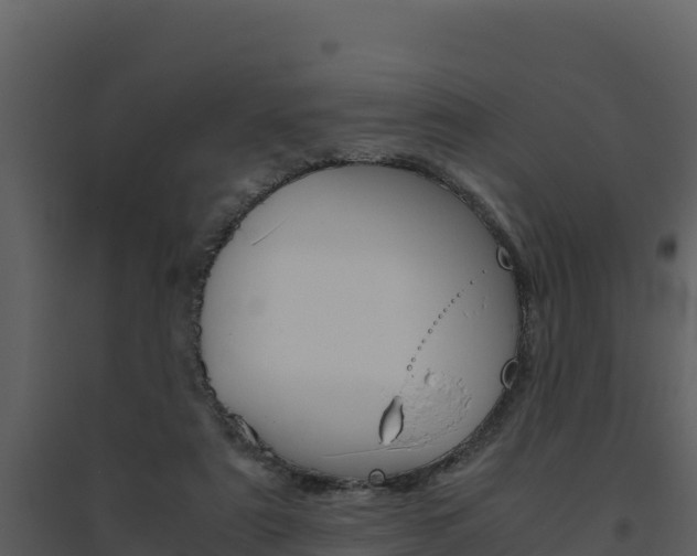 X0000094800307200711160946
