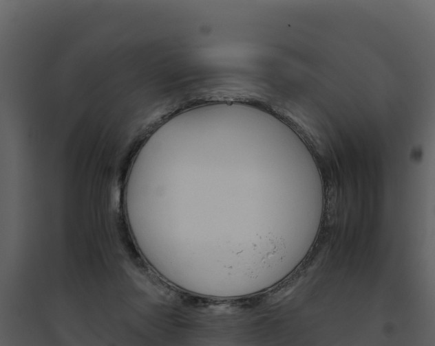 X0000094800310200711160946