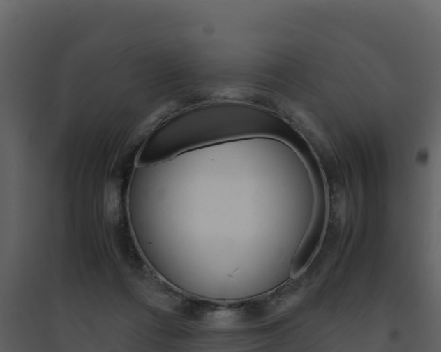 X0000094800312200711160946