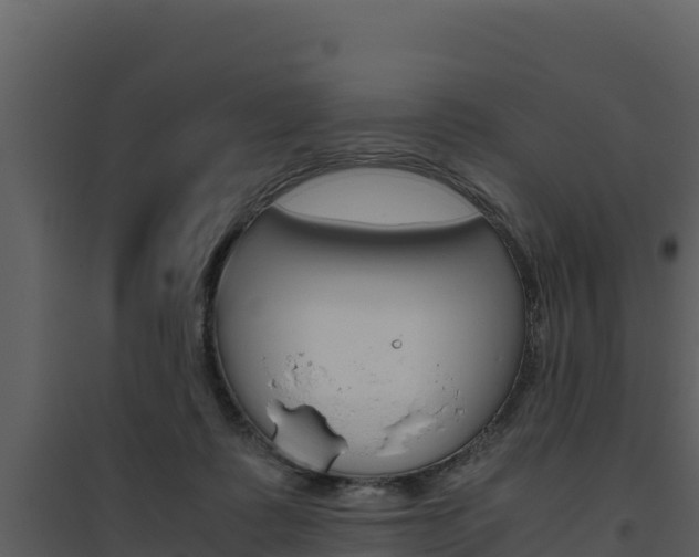 X0000094800315200711160946