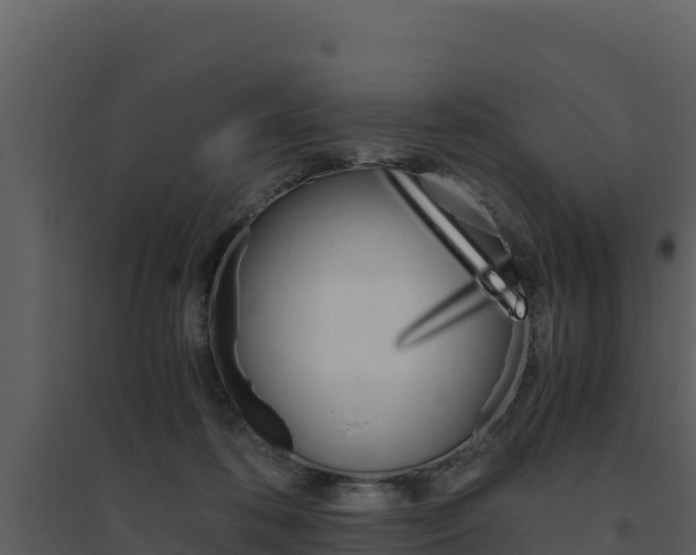 X0000094800316200711160946