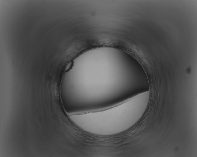 X0000094800317200711160946