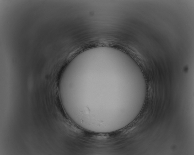 X0000094800318200711160946