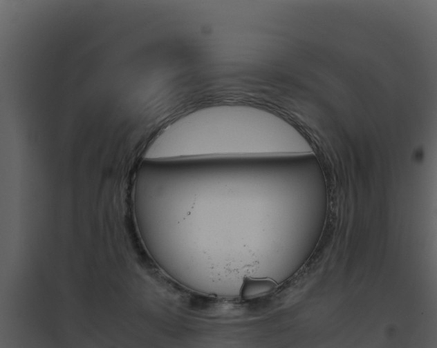 X0000094800319200711160946