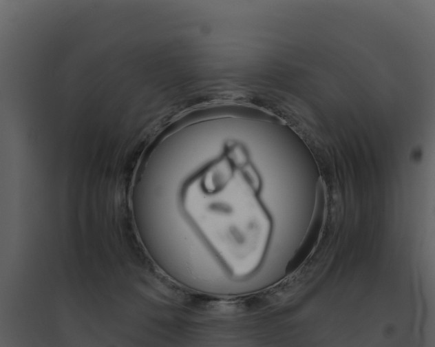 X0000094800320200711160946