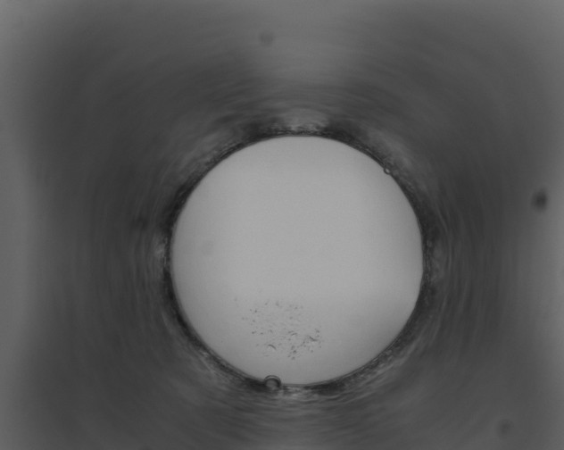 X0000094800321200711160946