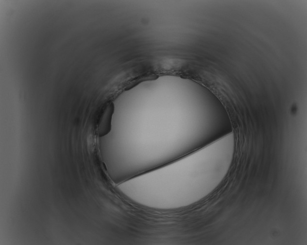 X0000094800324200711160946