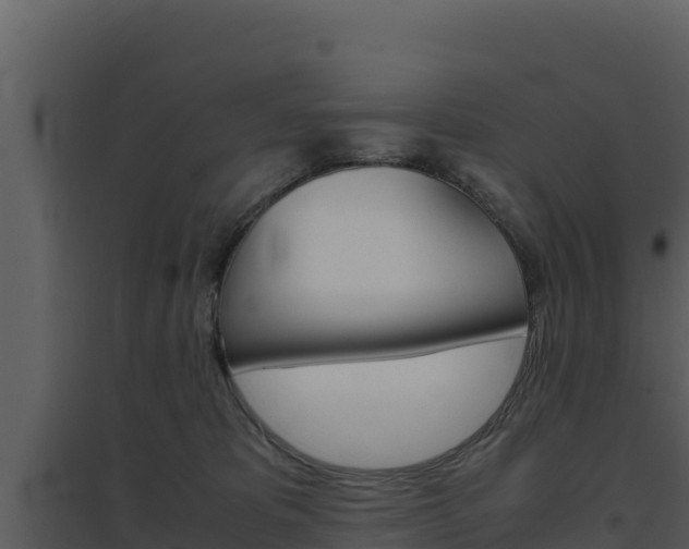 X0000094800325200711160946