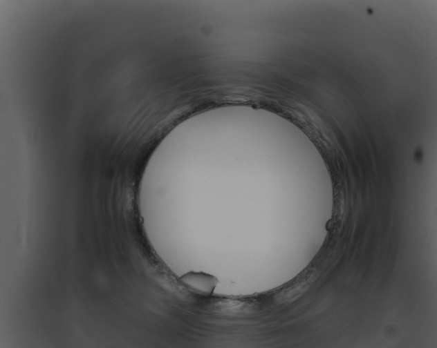 X0000094800326200711160946