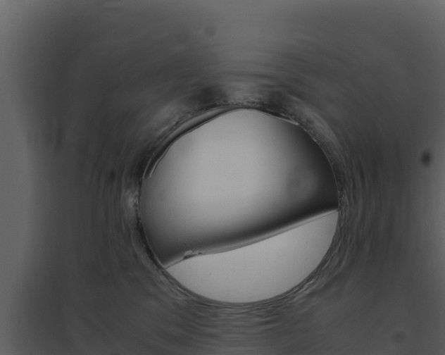 X0000094800329200711160946