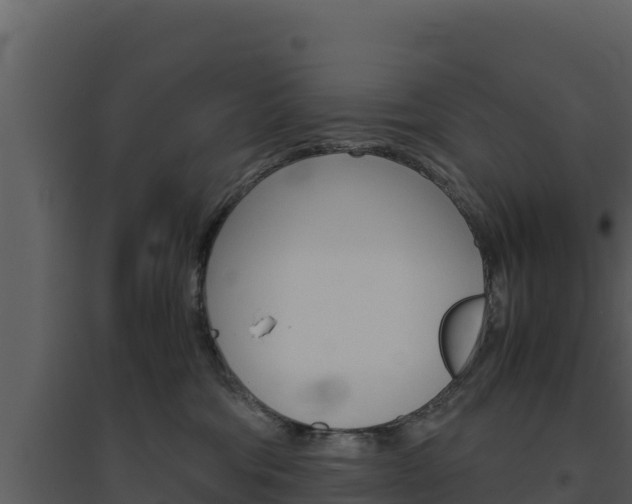X0000094800330200711160946