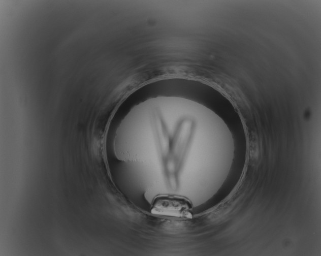 X0000094800332200711160946