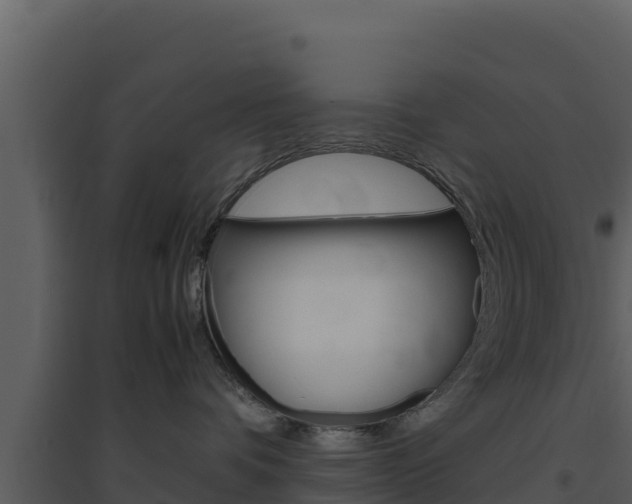 X0000094800336200711160946