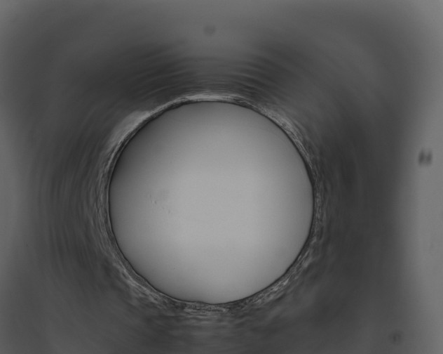 X0000094800337200711160945