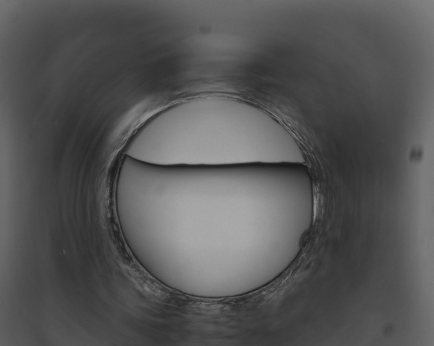X0000094800339200711160945
