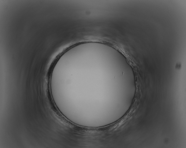 X0000094800342200711160945