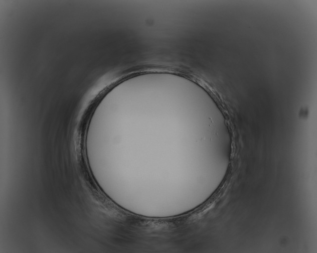 X0000094800343200711160946