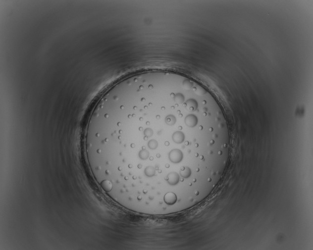 X0000094800346200711160946