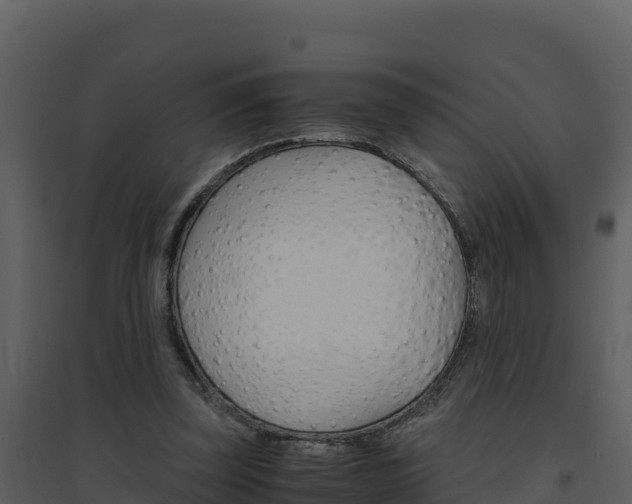X0000094800347200711160946