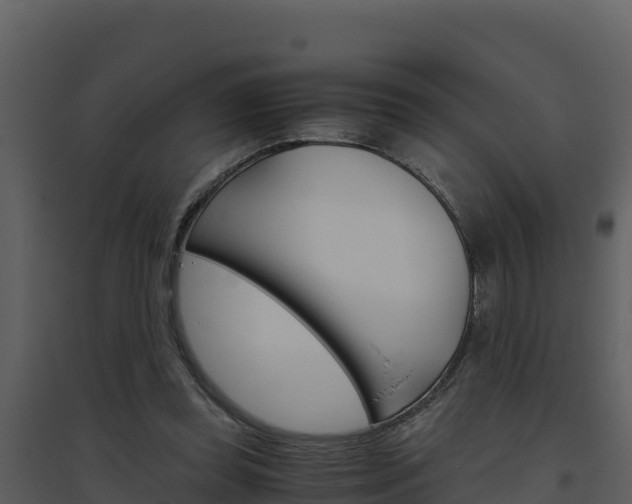 X0000094800349200711160946