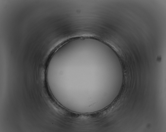 X0000094800350200711160946