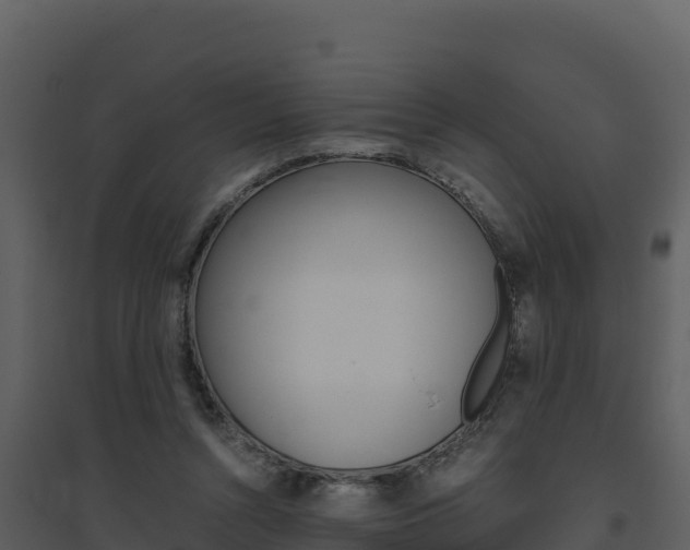 X0000094800352200711160946