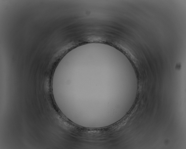 X0000094800353200711160946