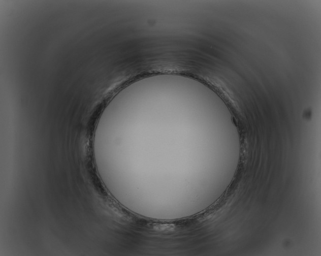 X0000094800355200711160946