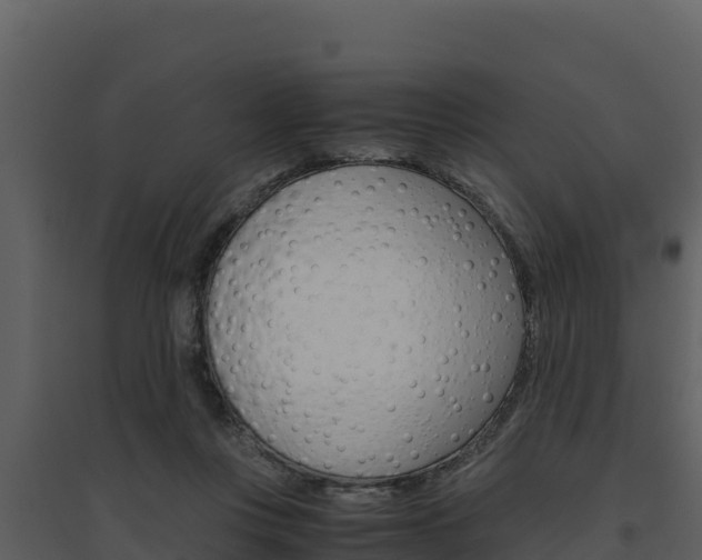 X0000094800359200711160946