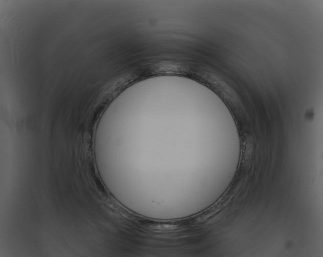 X0000094800361200711160946