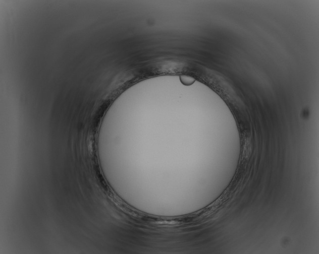X0000094800363200711160946