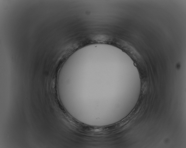 X0000094800365200711160946