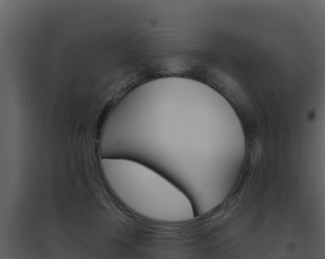 X0000094800366200711160946