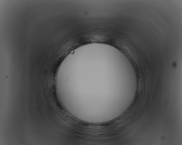 X0000094800367200711160946