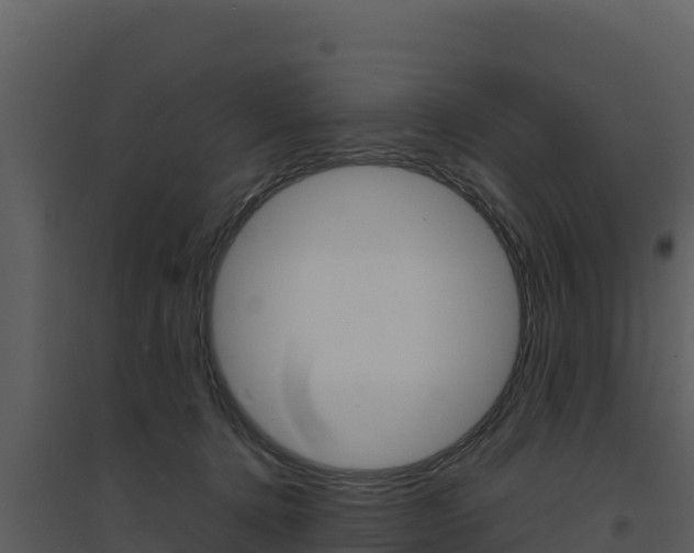 X0000094800368200711160946