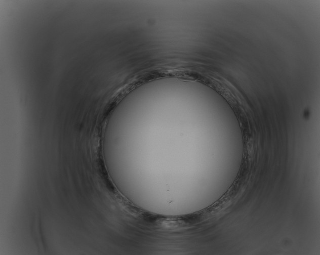 X0000094800372200711160946