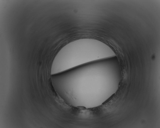 X0000094800376200711160946