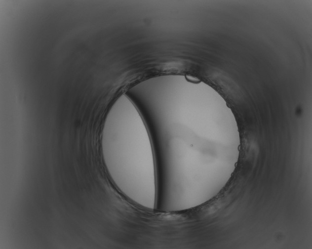 X0000094800379200711160946