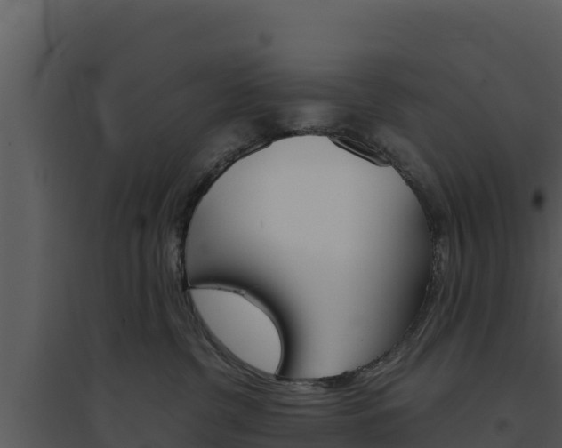 X0000094800380200711160946