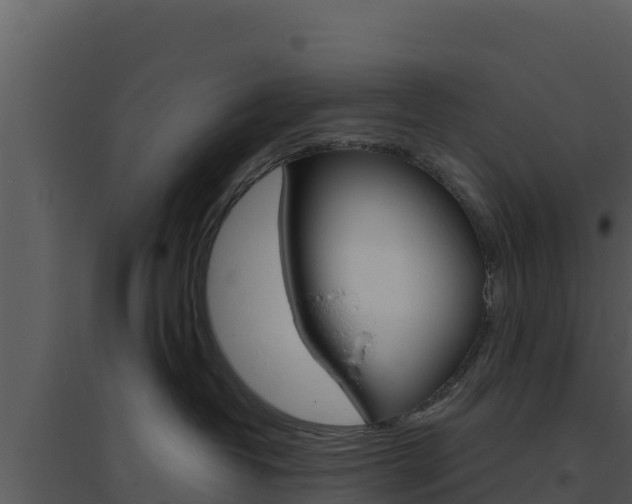 X0000094800382200711160946